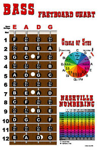 4 String Bass Fretboard Instructional Chart Poster LOOK in Musical Instruments & Gear, Instruction Books, CDs & Video, Guitar | eBay