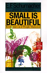 Small Is Beautiful by Ernst Friedrich Schumacher (1989, Paperback)