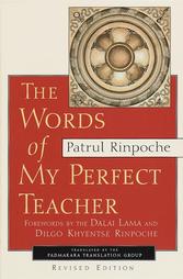 Words of My Perfect Teacher by Dpal-Sprul O-Rgyan- Jigs-Med-Chos-Kyi-Dban-Po, O-Rgyan-Jigs-Med-Chos-Kyi-Dban-Po, Patrul Rinpoche (1998, Paperback, Revised)