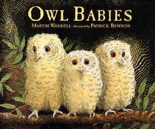 Owl Babies by Martin Waddell (1996, Hardcover, Board)