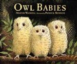 Owl Babies by Martin Waddell (1996, Hardcover, Board)