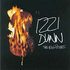 Izzi Dunn - The Big Picture (CD 2004)