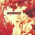 CD: Effloresce Oceansize, 2003