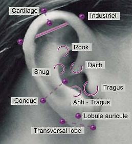 TRAGUS or OTHER EAR SELF PIERCING KIT BEST ON   