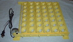 Automatic Turner for Chicken Eggs #1611  