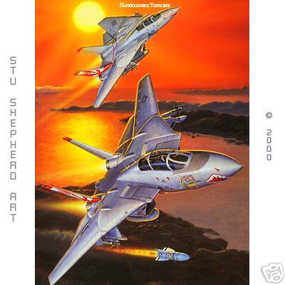 Sundowner Tomcats; UN MATTED F 14 Print by Stu Shepherd  