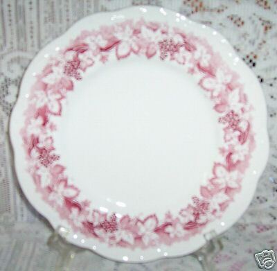 VINE RED PLATE BREAD SALAD PLATES J & G MEAKIN GRAPES  