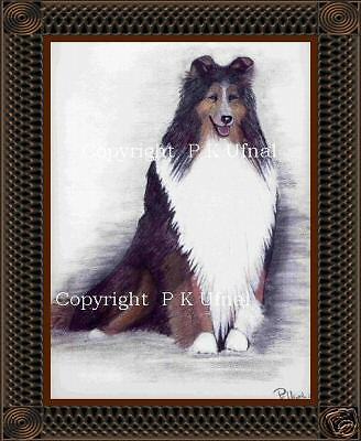 Dog Art,Pencil&Ink ,Rough Collie Prints, by P K Ufnal  