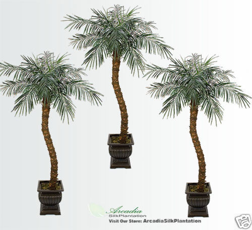 Artificial 7 Phoenix Coconut Palm BENDABLE Tree 822  