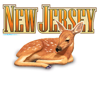 NEW New Jersey deer fawn T shirts WHOLESALE LOT QTY 100  