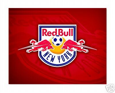 MAJOR LEAGUE SOCCER MLS NEW YORK NY RED BULL TEAM FLAG  