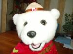 polarbears3kitscatcat
