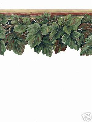 DARK GREEN IVY GRAPE LEAF WALLPAPER BORDER 82B66127  