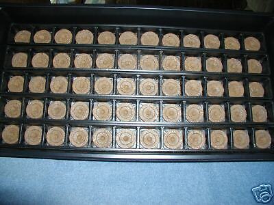 SEED STARTING 60   JIFFY PEAT PELLETS &TRAY&DOME  