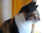 jacquesetcathie2006